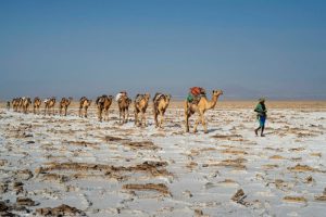 4 Days Danakil Depression Tours